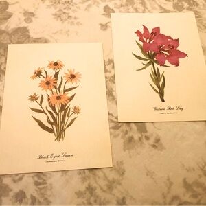 🎄VTG Wild Flowers of America Smithsonian Institutes x18 9x12 Prints